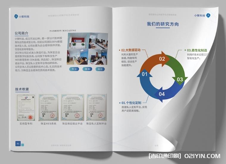 珠寶行業(yè)畫(huà)冊(cè)設(shè)計(jì)印刷  第2張